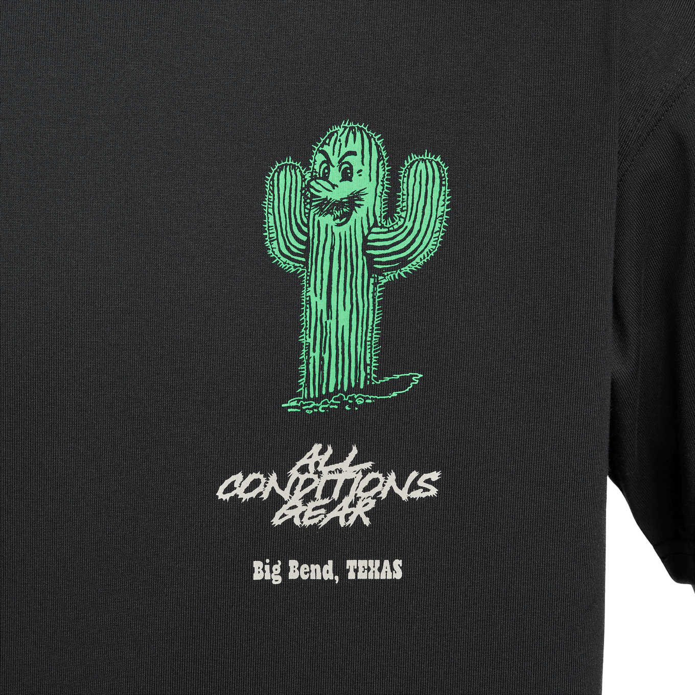 NIKE AS M ACG TEE OC CACTUS