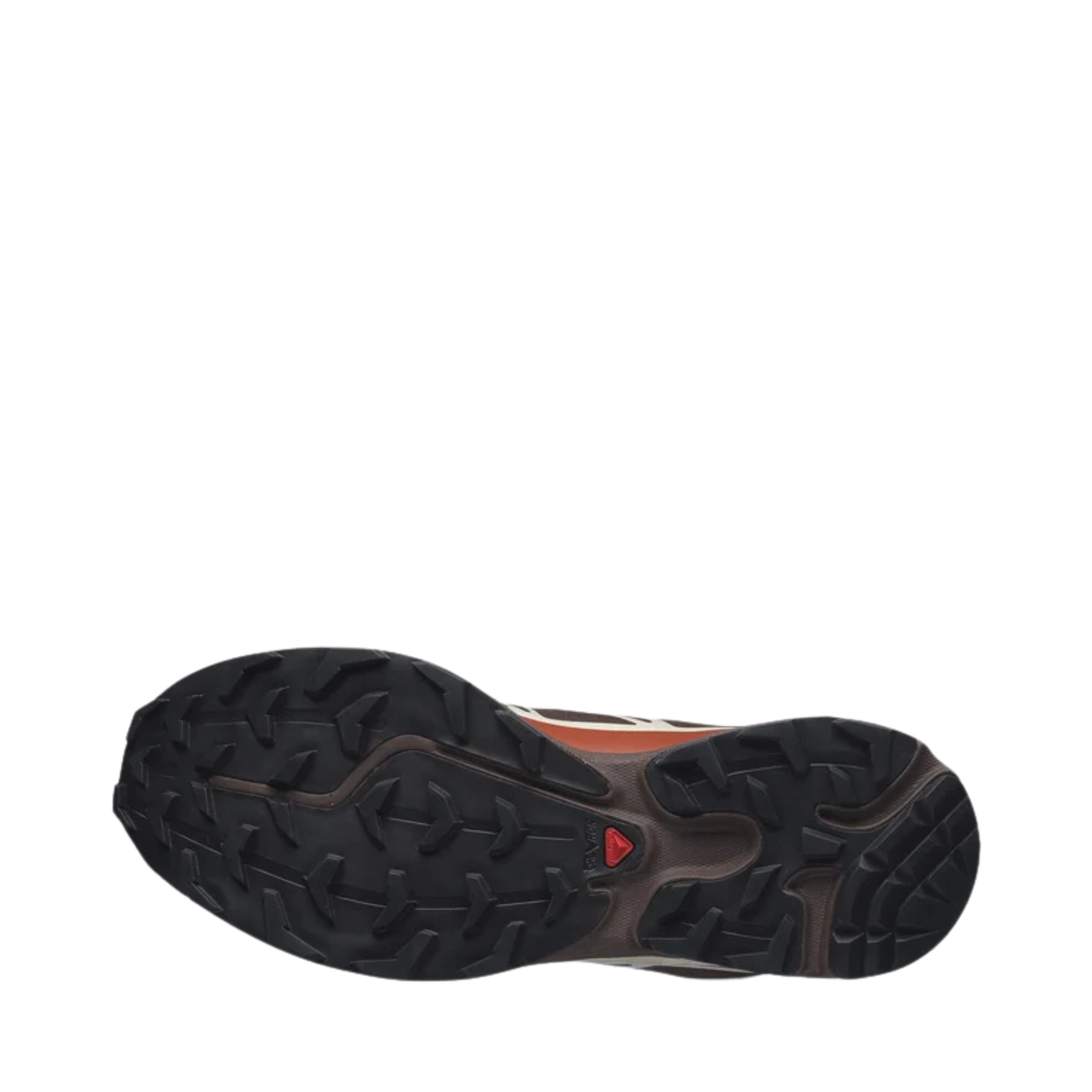 SALOMON XT-6